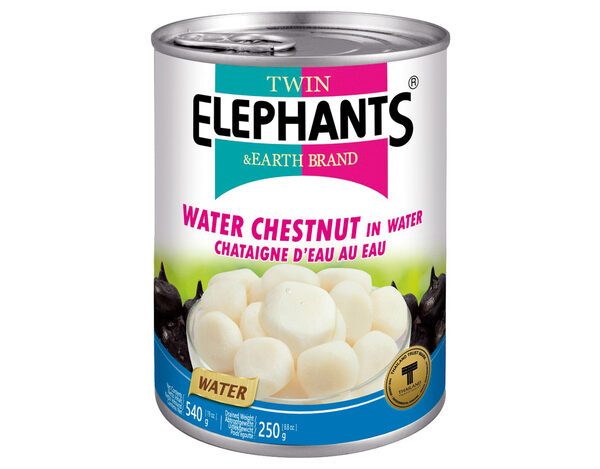Twin Elephant Earth Waterkastanjes In Water 540 g