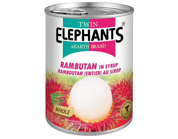 Twin Elephant Earth Ramboetan op siroop 565 g