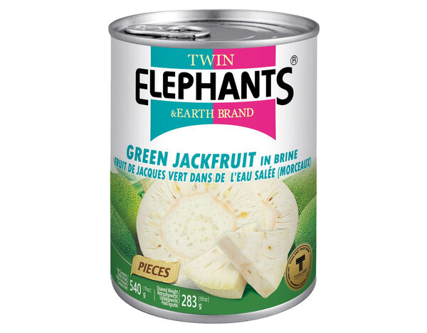 Twin Elephant Earth Groene jackfruit in stukjes 540 g